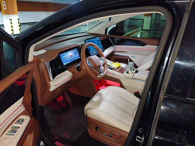 BYD Xia 2024 صورة سيارة #12