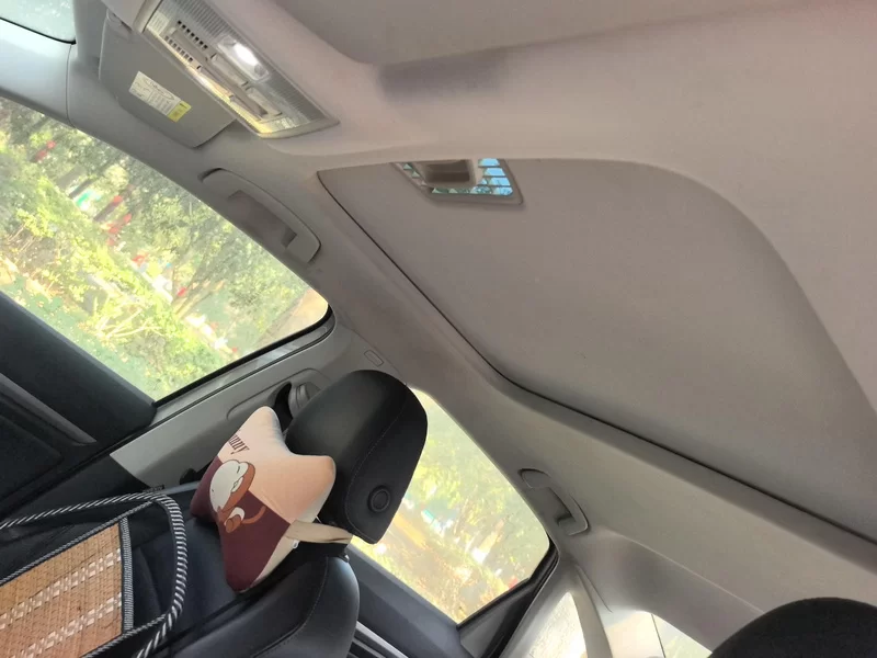 Volkswagen Lavida 2019 car image #12