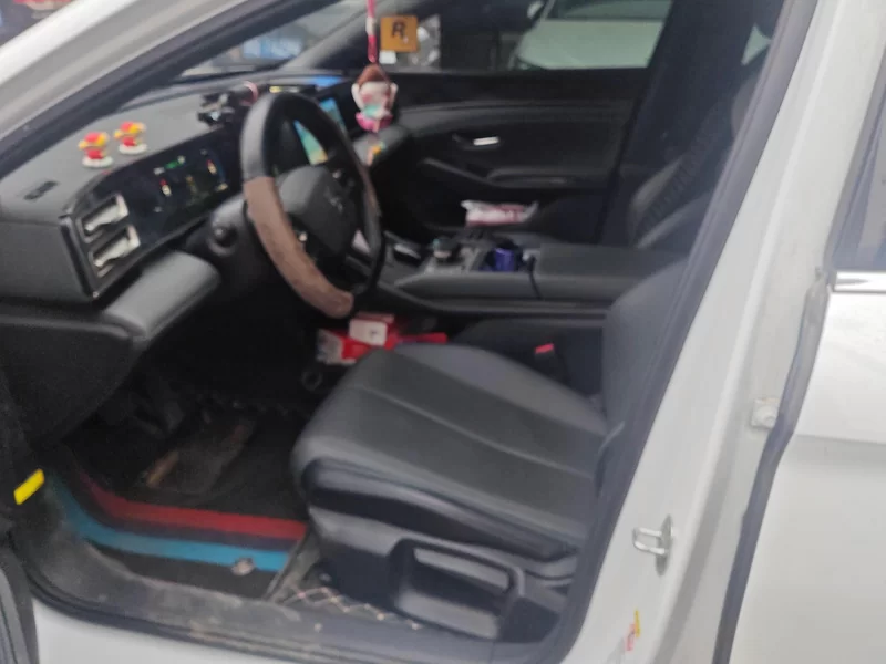 BYD Qin L 2024 car image #12