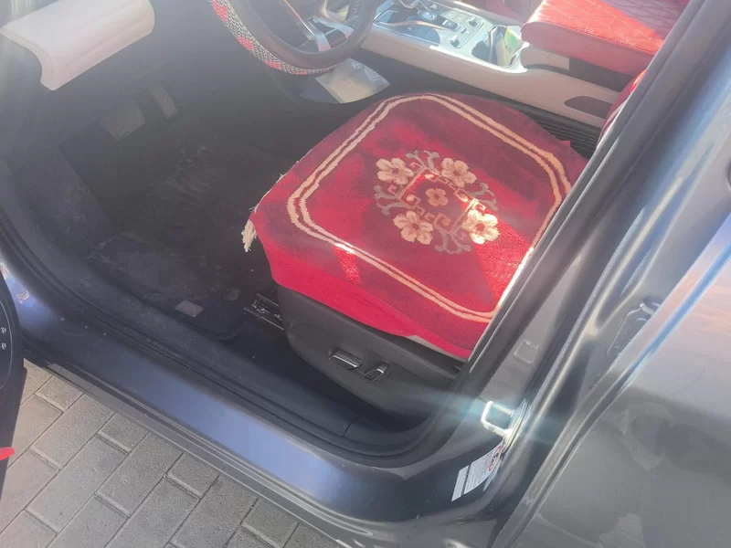 BYD Yuan Plus 2023 car image #12