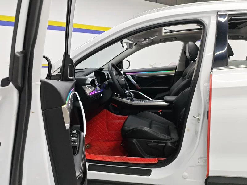 GEELY Coolray 2019 car image #12