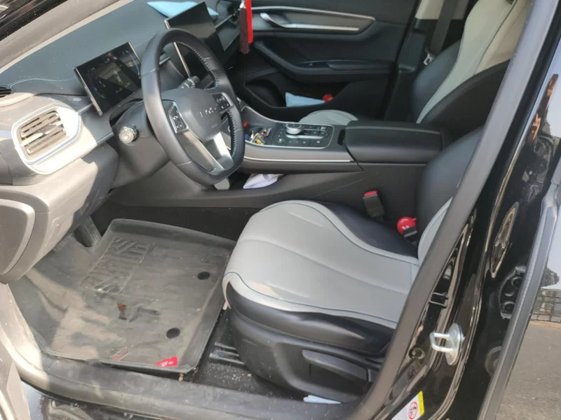 BYD Destroyer 05 2024 car image #12