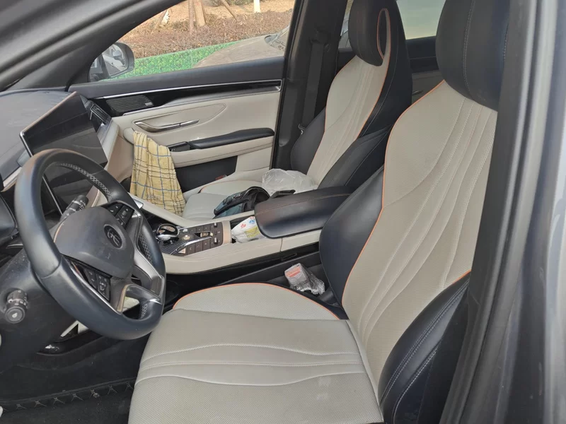 BYD Song Plus New Energy 2021 car image #12