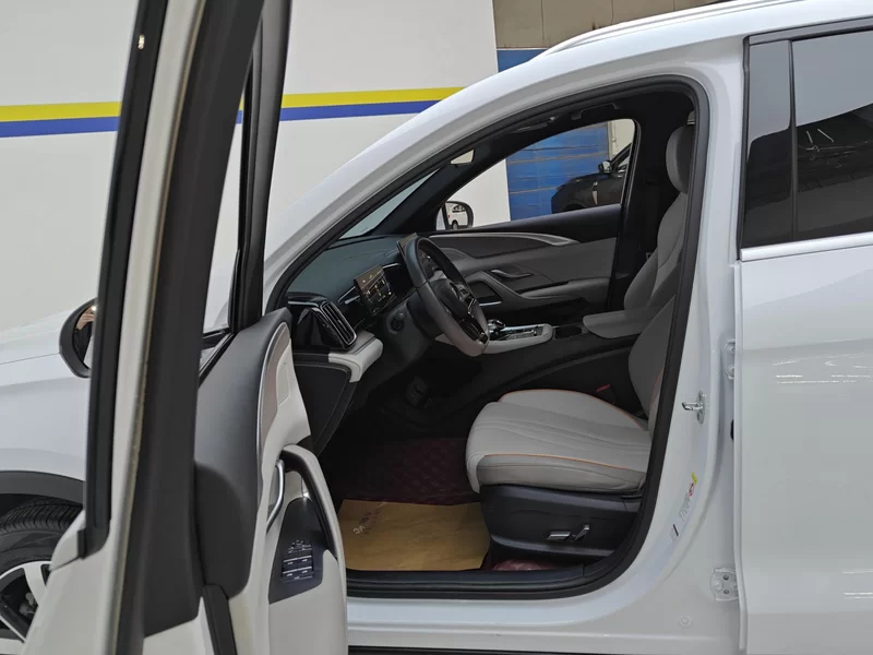 BYD Song Pro New Energy 2024 car image #12