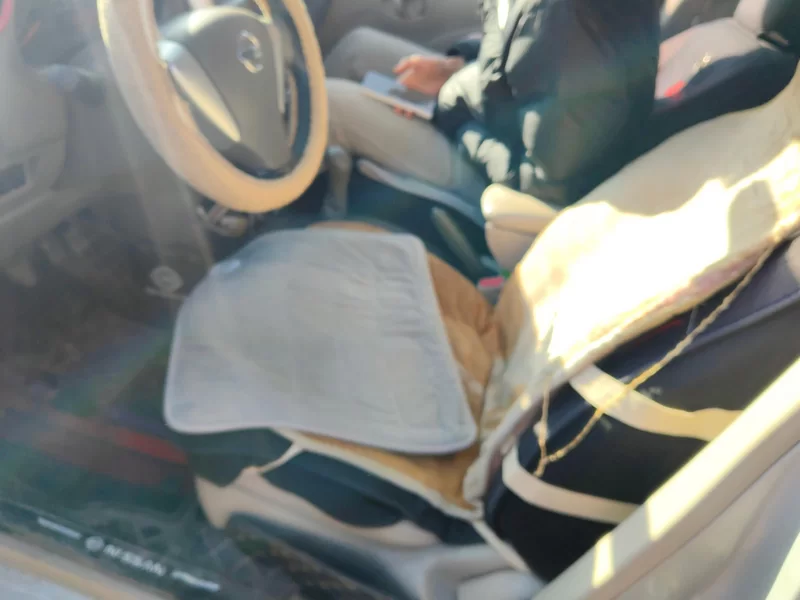 日产 阳光 2017 汽车图片 #12