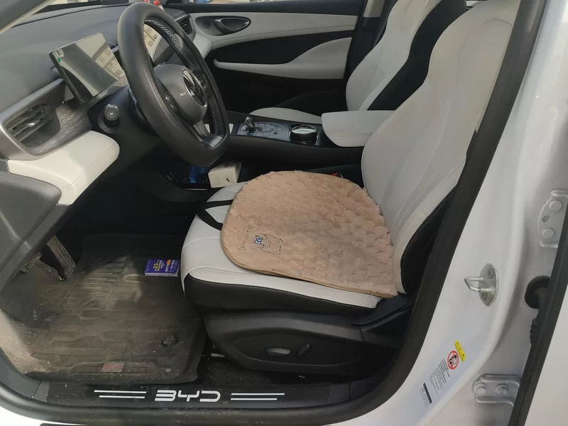 BYD Seal 05 DM-i 2025 #12 BYD Seal 05 DM-i 2025 car image #12