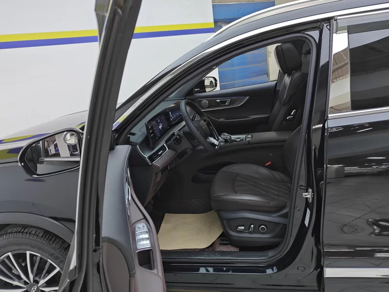 Chery Tiggo 8 PRO 2024 car image #12