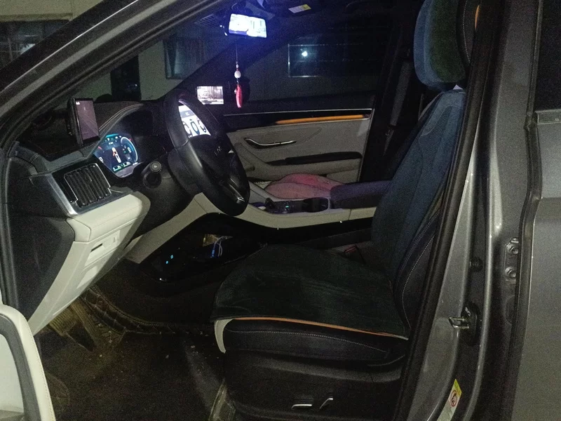 BYD Song Plus New Energy 2024 car image #12