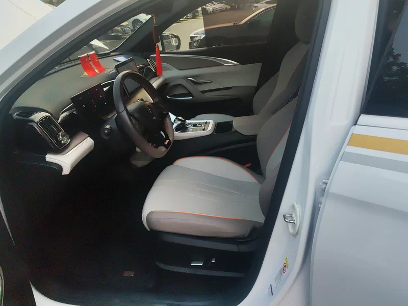 BYD Song Pro New Energy 2024 car image #12