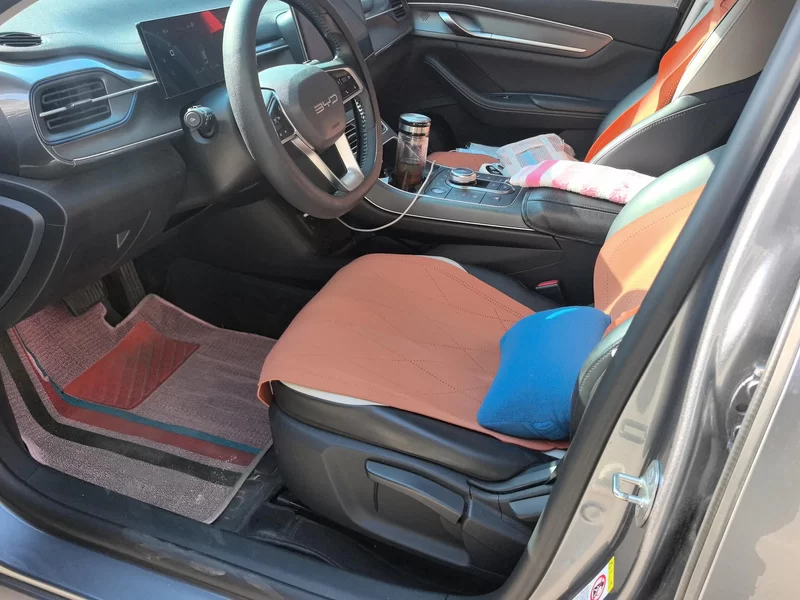 BYD Destroyer 05 2024 изображение автомобиля #12