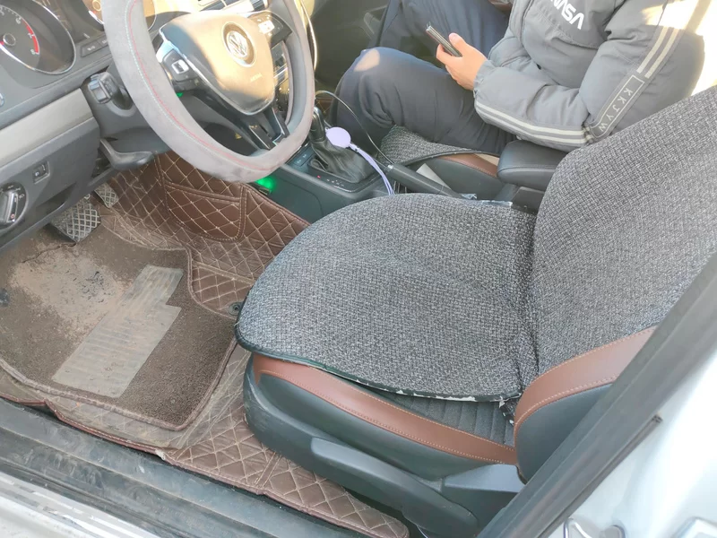 大众 朗逸 2020 汽车图片 #12