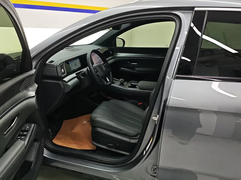 BYD Song Pro New Energy 2025 car image #12