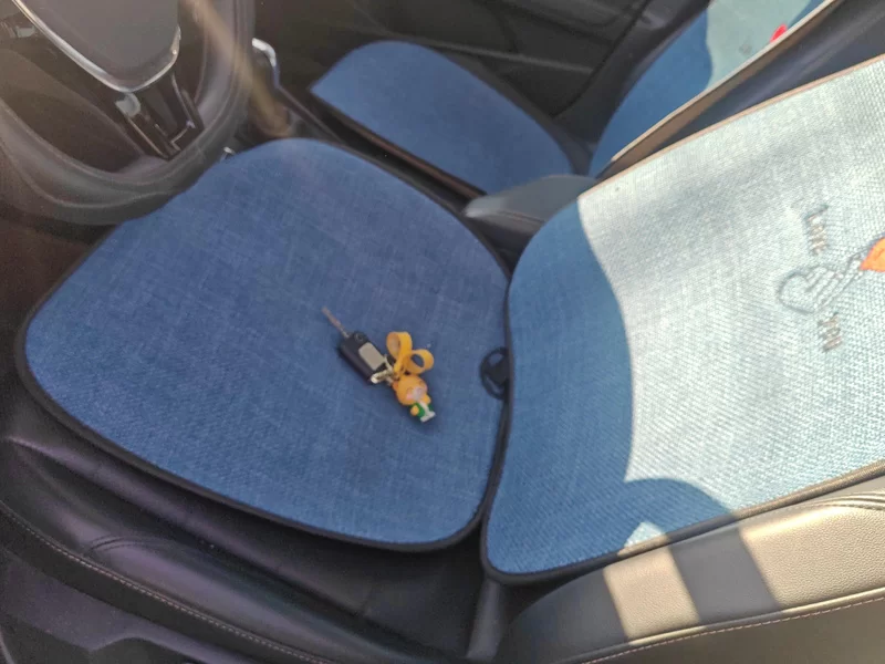Volkswagen Lavida 2021 car image #12