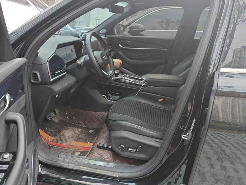 GEELY Monjaro 2024 car image #12