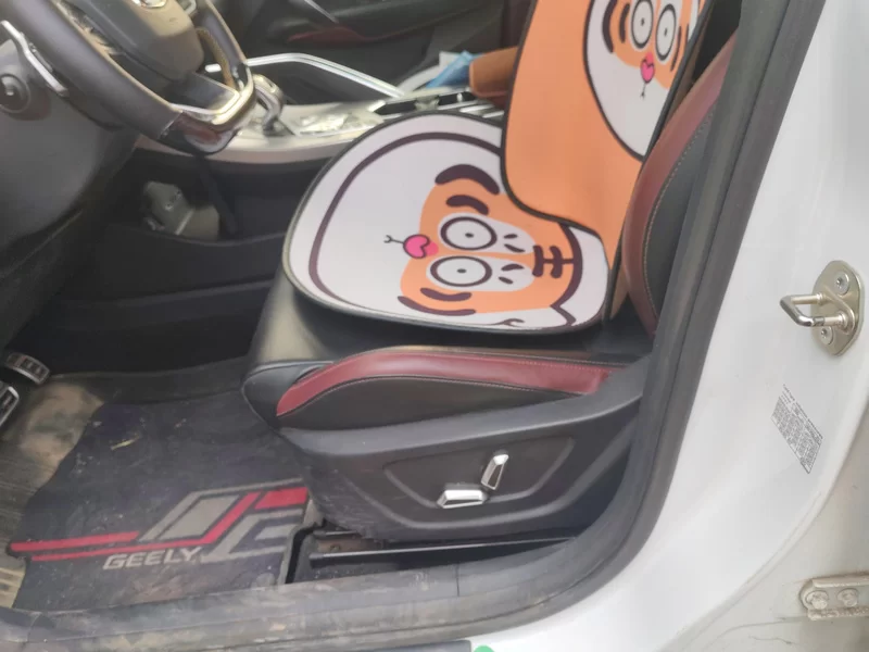 GEELY Coolray 2019 #12 GEELY Coolray 2019 car image #12