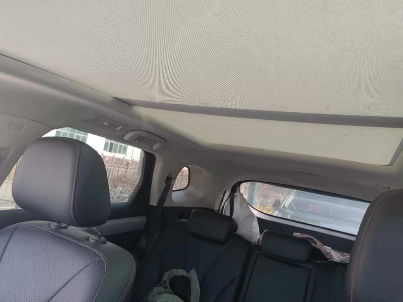 BYD Tang New Energy 2018 car image #12