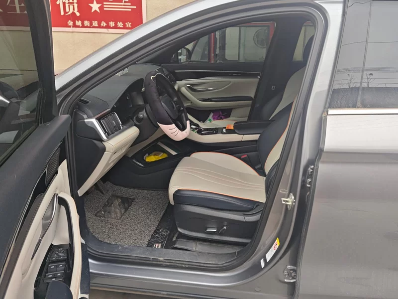 BYD Song Plus New Energy 2022 car image #12