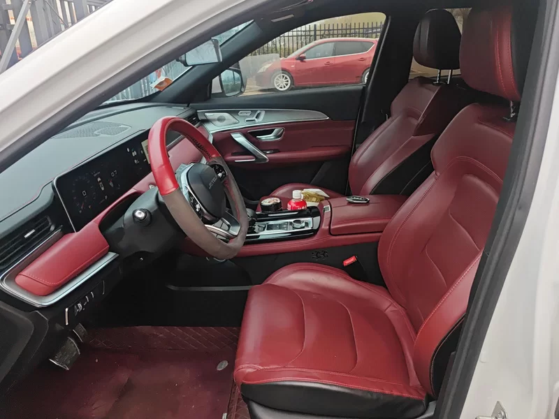 Jetour X70 2021 car image #12