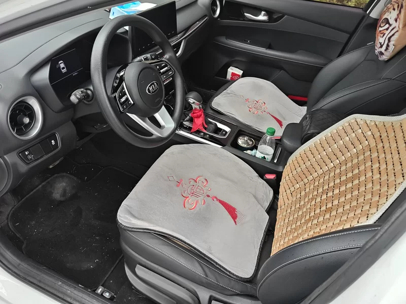 Kia K3 2021 car image #12