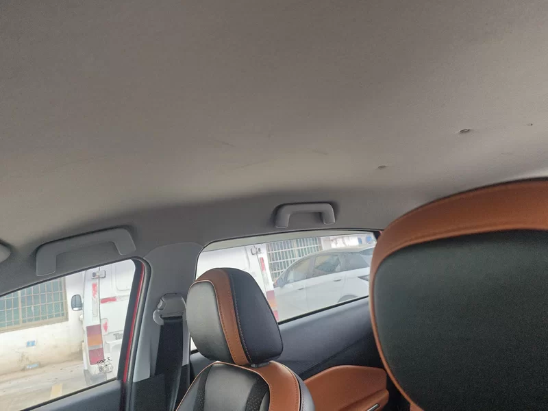 Chery Tiggo 3x 2017 car image #12