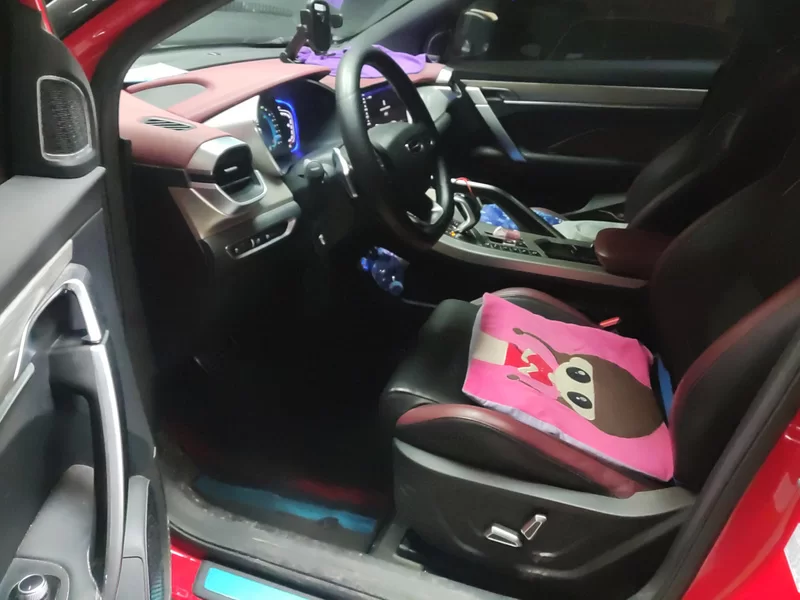 GEELY Coolray 2018 car image #12