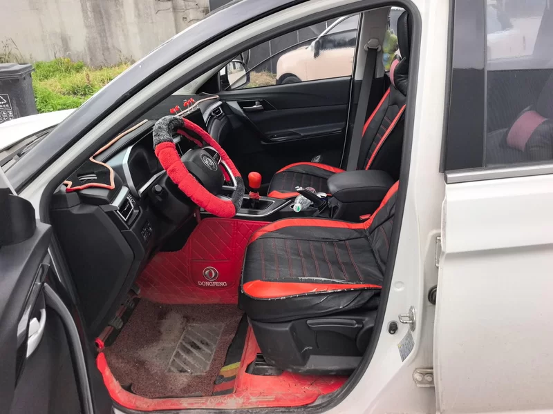 Forthing T5 2020 car image #12