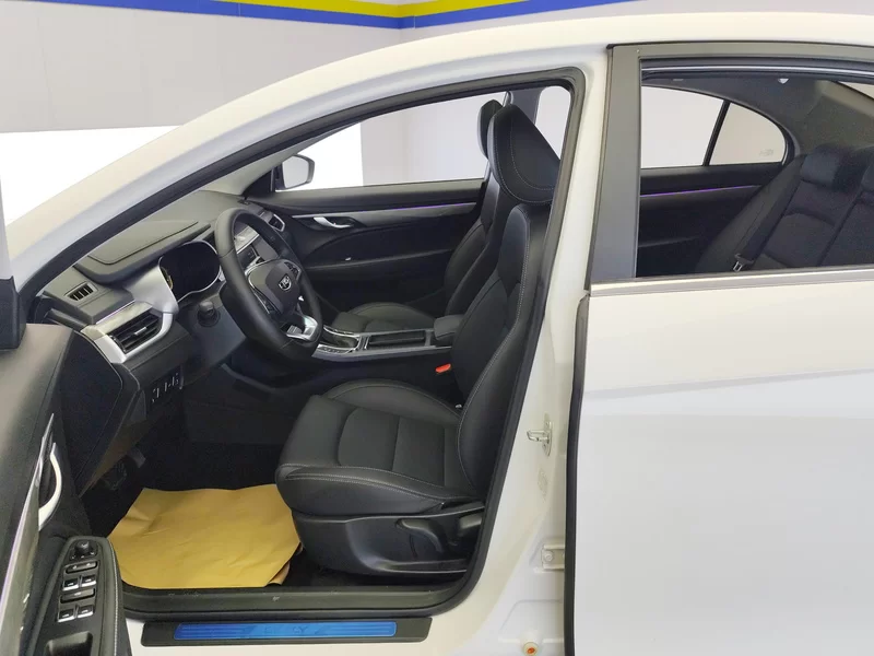 Emgrand 2020 #12 Emgrand 2020 car image #12