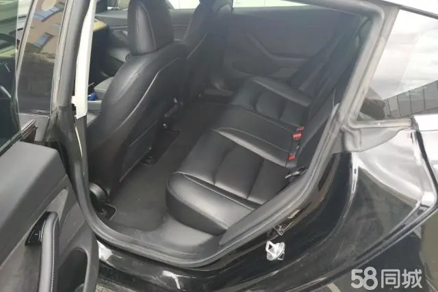 特斯拉 Model 3(进口) 2019 汽车图片 #12