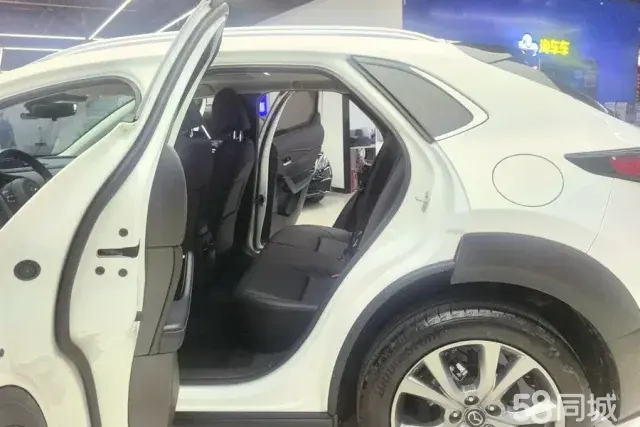 Mazda CX-30 EV 2020 imagen de coche #12