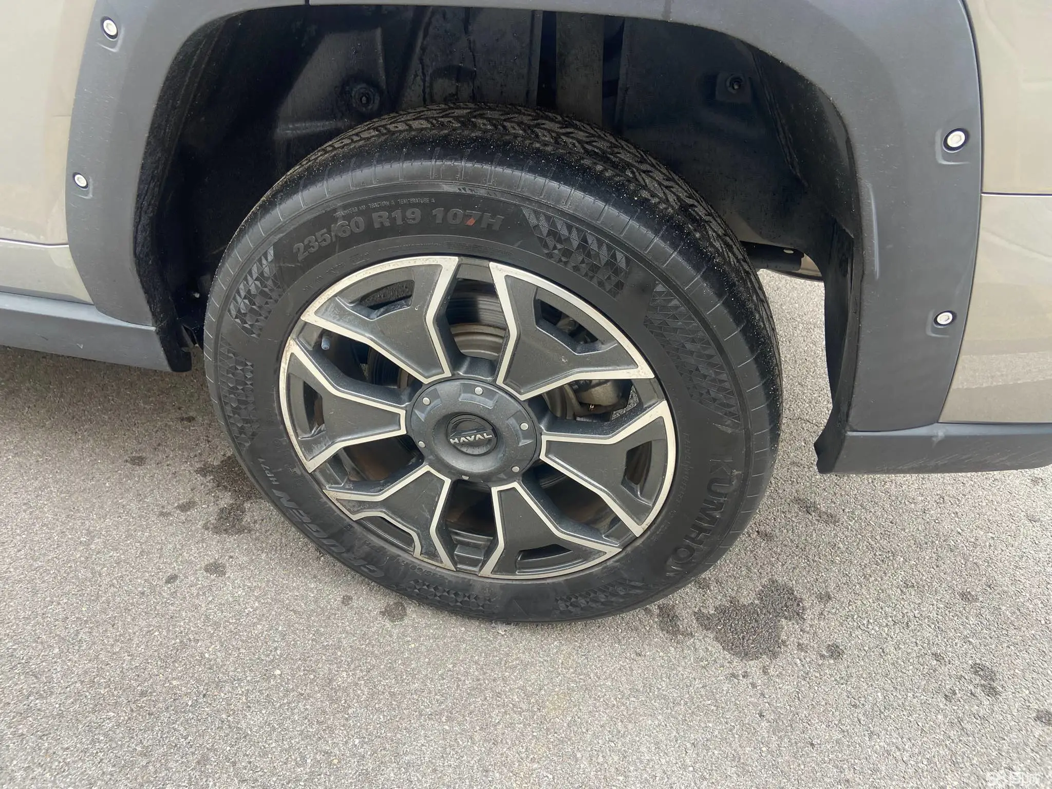 Haval X Dog 2 New Energy 2023 car image #12