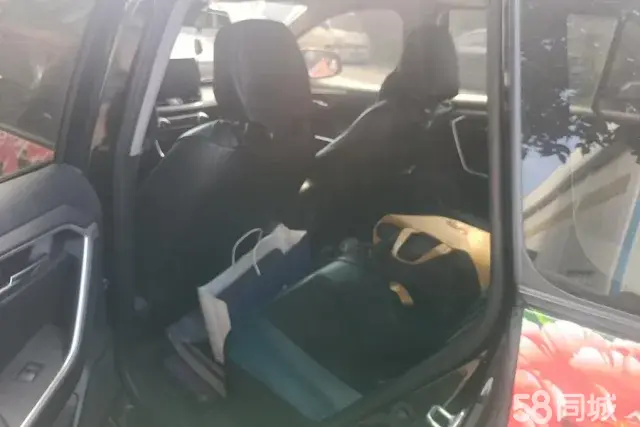 Toyota Wildlander 2020 imagem de carro #12