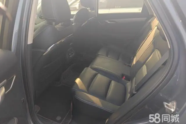 GEELY Tugella 2020 immagine di auto #12