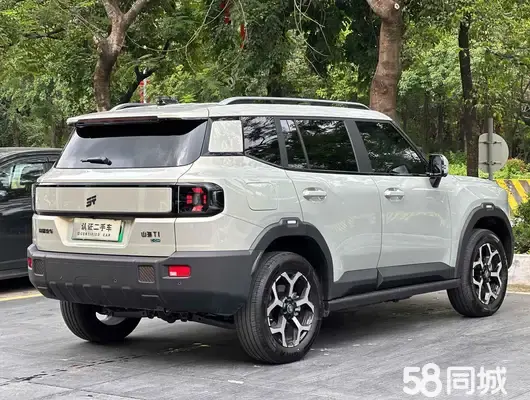Jetour Shanhai 2024 car image #12