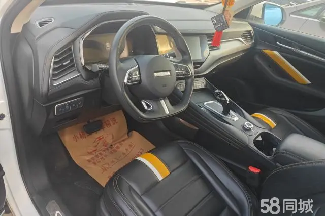 Haval F7x 2020 car image #12