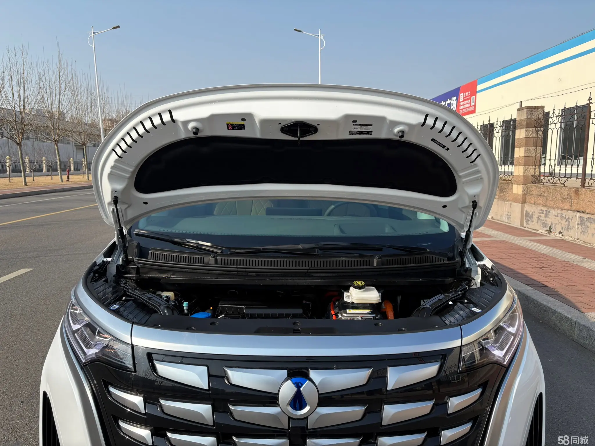 Denza D9 2023 image de voiture #12