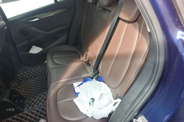 BMW X1 2018 car image #19