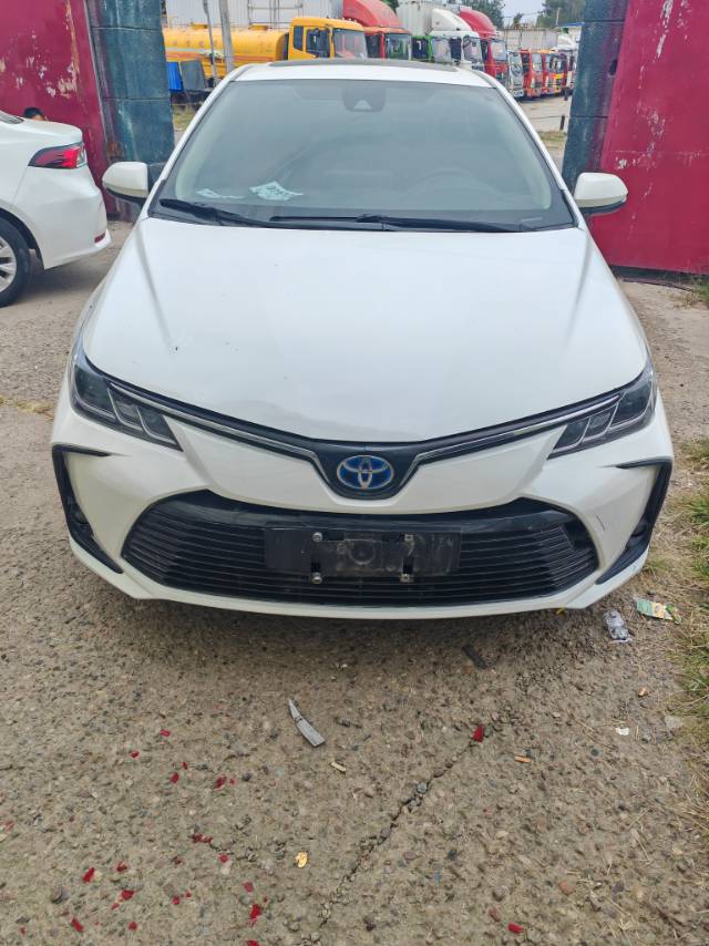 Toyota Corolla 2023 Toyota Corolla 2023 car image