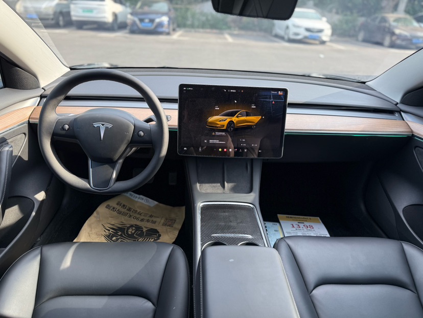Tesla Model 3 2022 #6 Tesla Model 3 2022 car image #6
