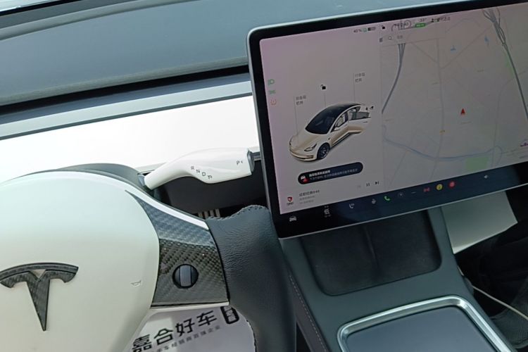 Tesla Model 3 2021 #14 Tesla Model 3 2021 car image #14