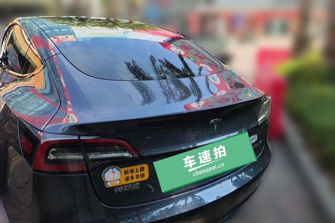 Tesla Model 3 2021 #6 Tesla Model 3 2021 immagine di auto #6