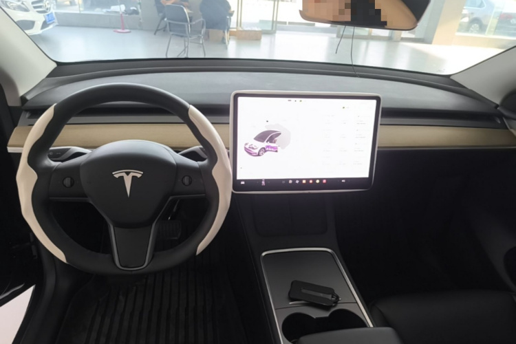 Tesla Model Y 2023 car image #10