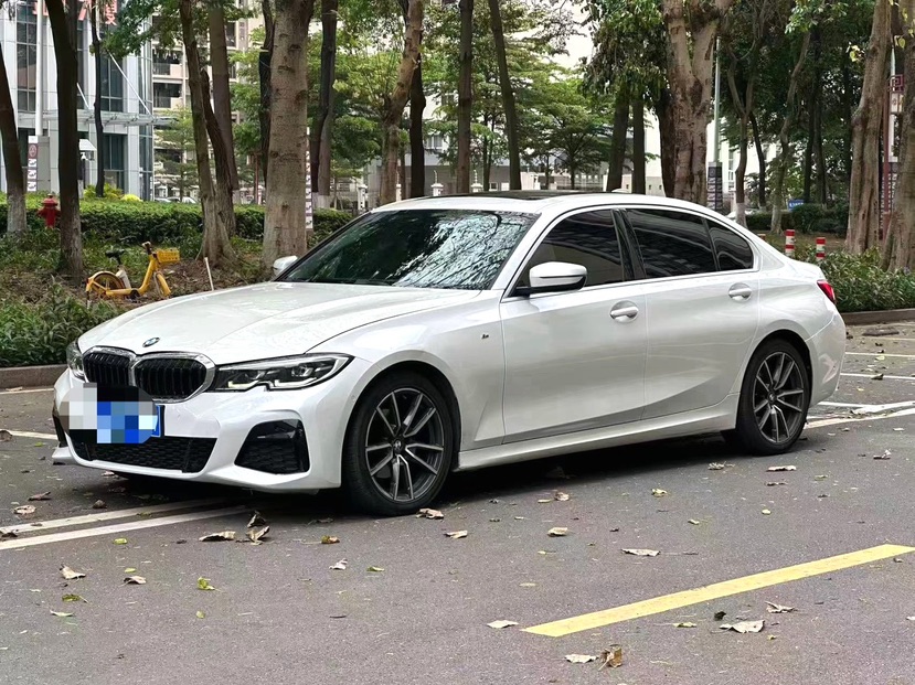 BMW 3 Series 2020 BMW 3 Series 2020 car image