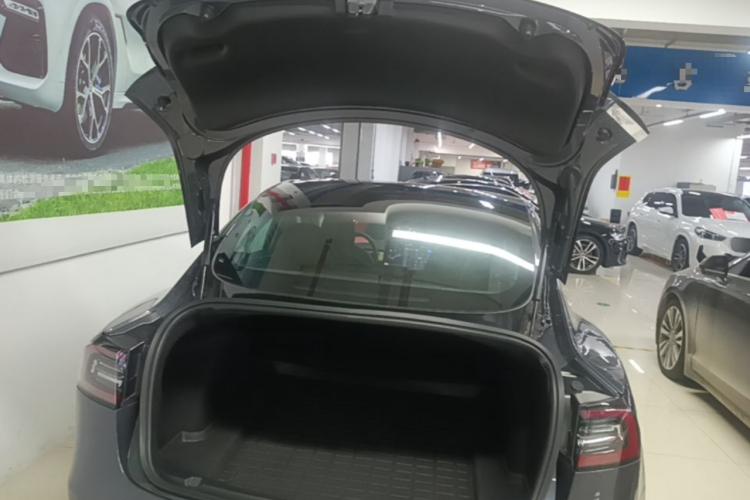 Tesla Model 3 2020 #18 Tesla Model 3 2020 car image #18