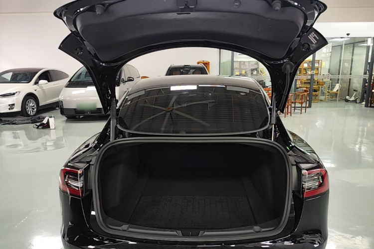 Tesla Model 3 2022 #19 Tesla Model 3 2022 صورة سيارة #19