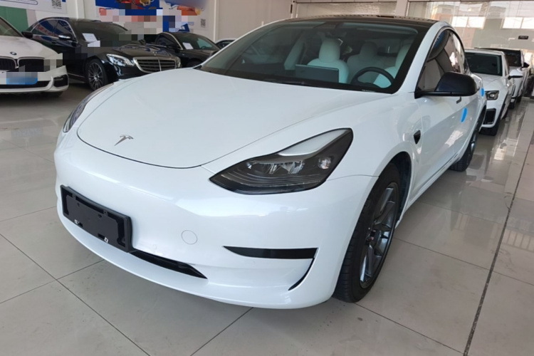 Tesla Model 3 2021 #2 Tesla Model 3 2021 car image #2