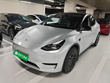 Tesla Model Y 2022 car image 