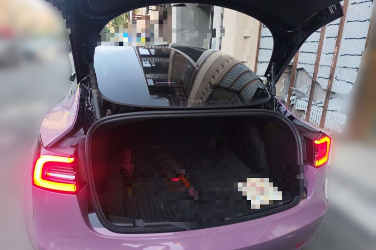Tesla Model 3 2023 #21 Tesla Model 3 2023 immagine di auto #21