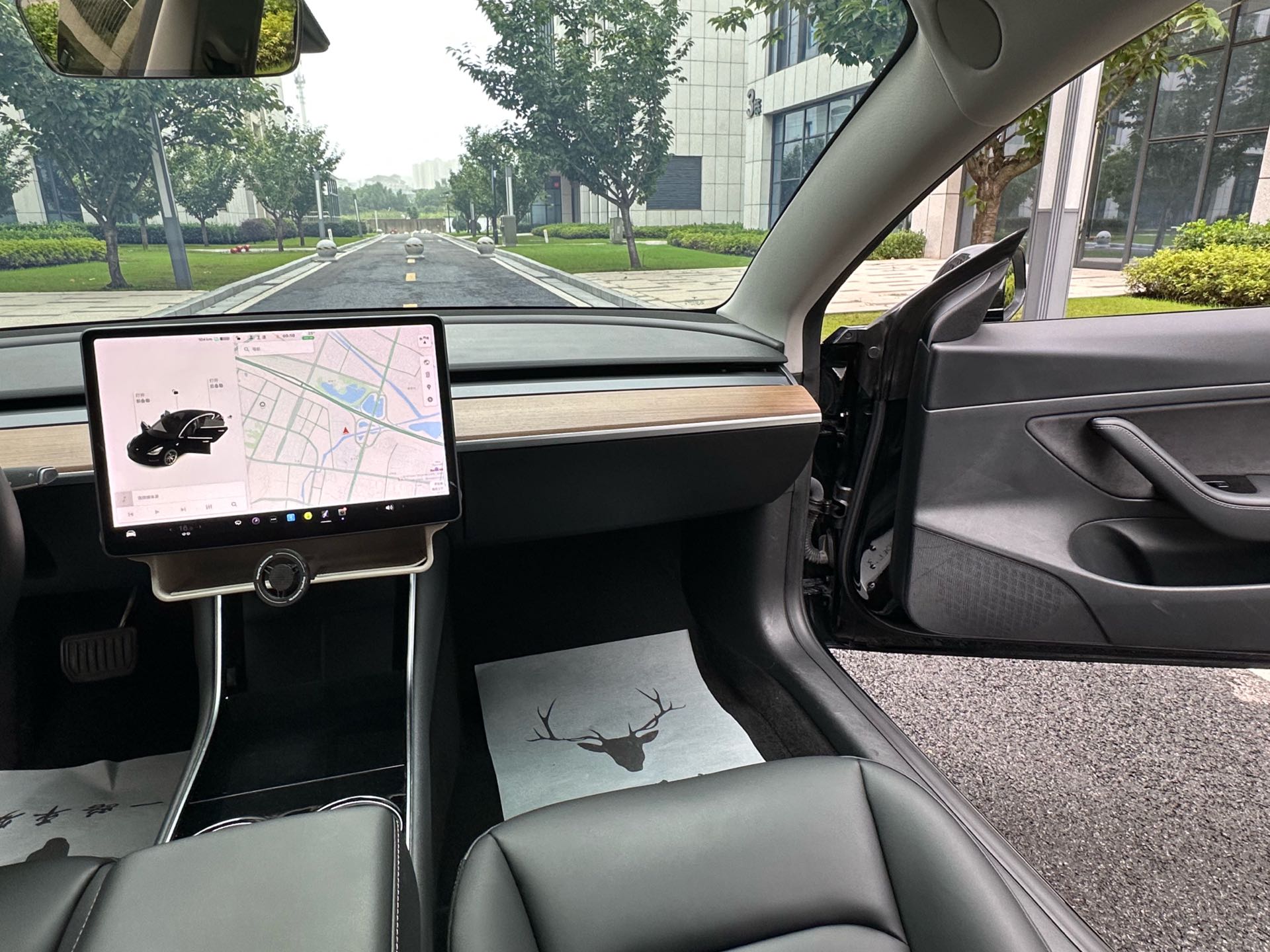 Tesla Model 3 2021 #6 Tesla Model 3 2021 car image #6