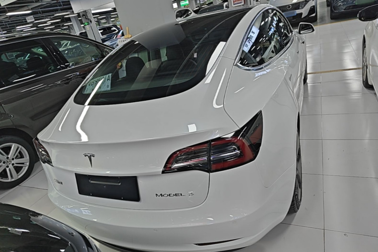 Tesla Model 3 2020 car image #4