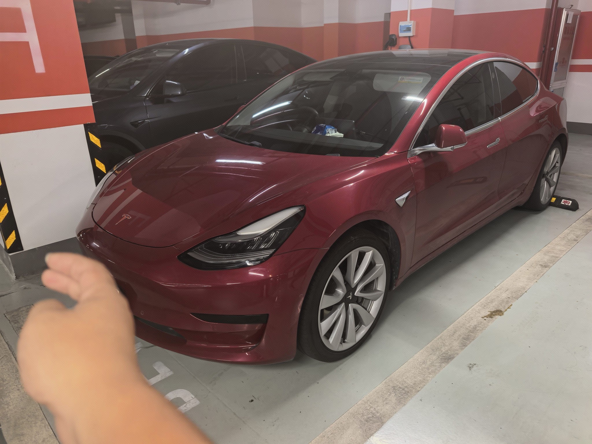 Tesla Model 3 2020 Tesla Model 3 2020 car image